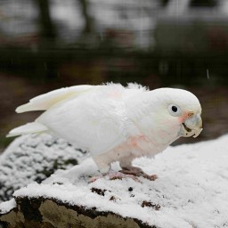 geöffnet ab 10 Uhr, Kontaktformular funktioniert nicht