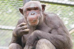 Erlebnisführung für Familien im Leintalzoo: Verwandlungskünstler an Wasser & Land